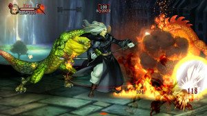 Dragons Crown Text 13