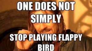 Flappy-Birds-MEME