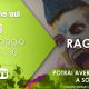 RAGE 2 – Live Streaming con Sconti Esplosivi!