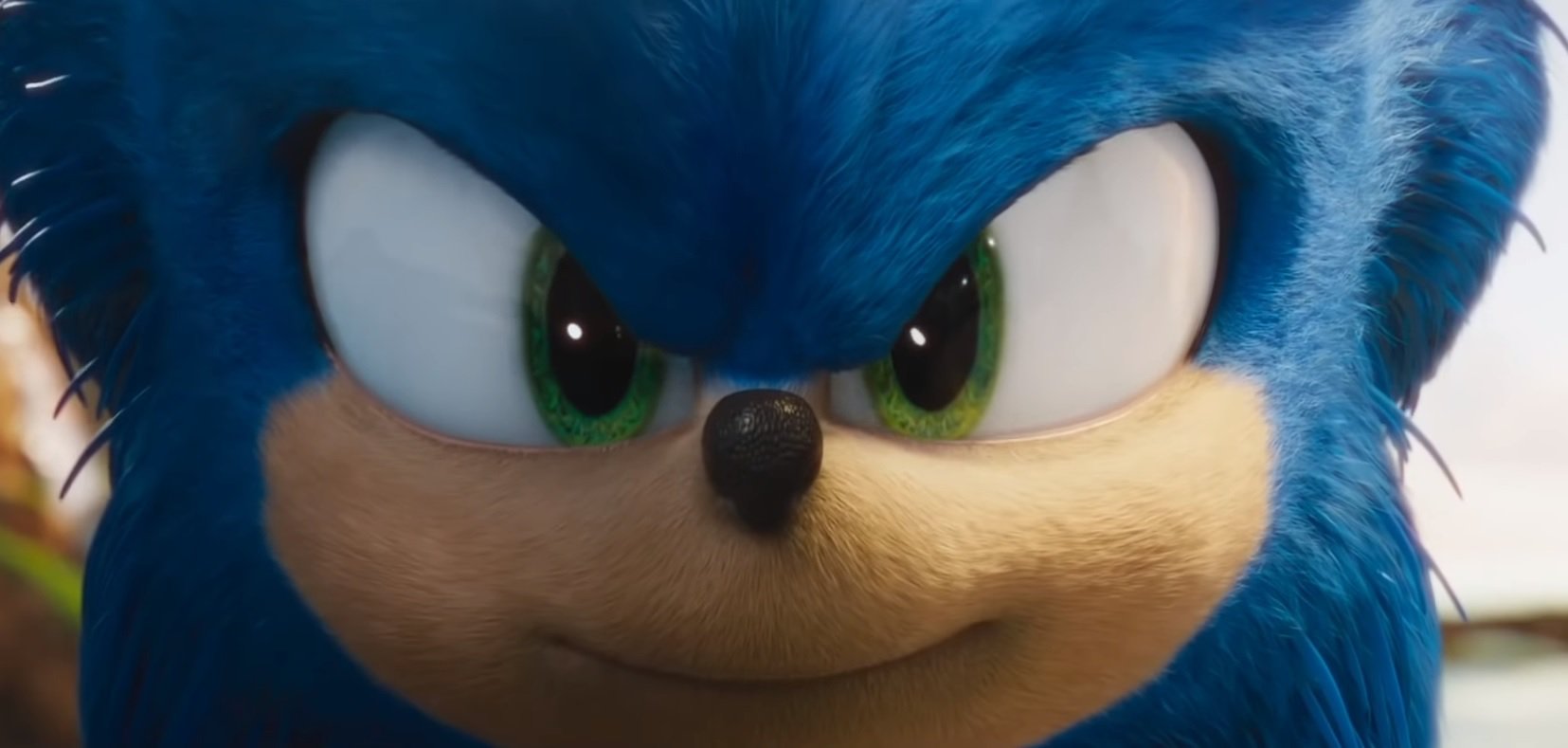 Sonic the hedgehog