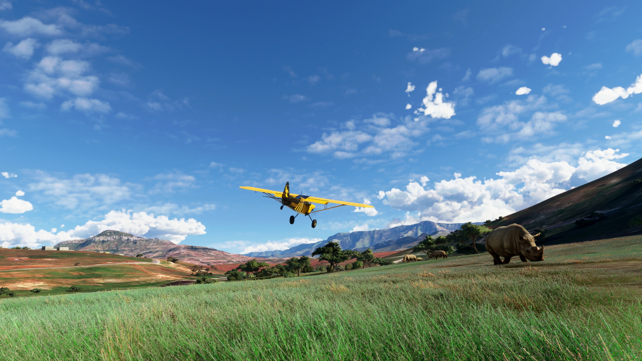 Microsoft Flight Simulator elicotteri