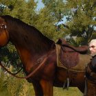 The Witcher 3 accarezzare roach