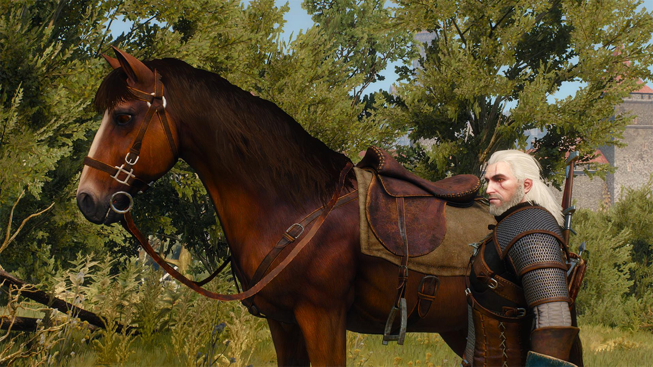The Witcher 3 accarezzare roach