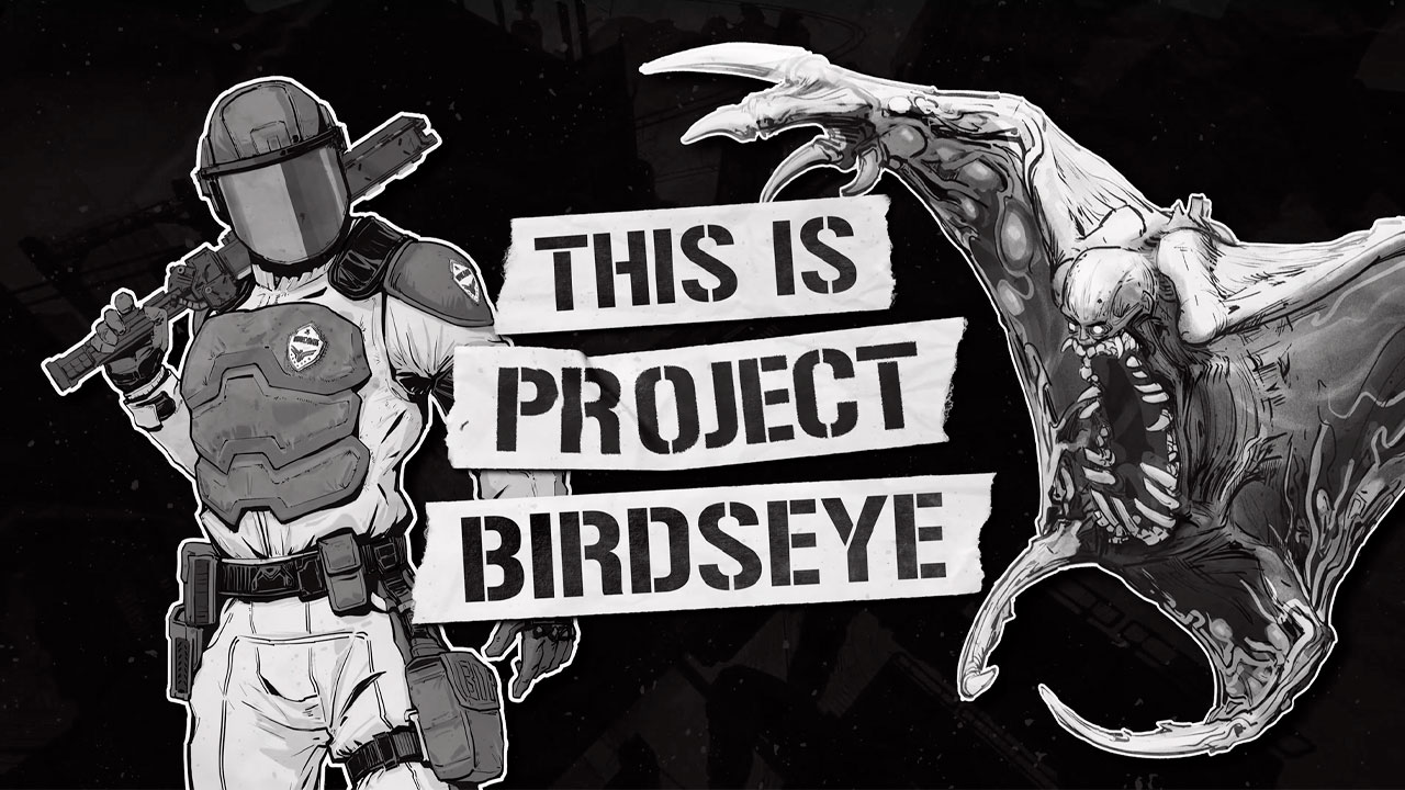 Project Birdseye gamesoul